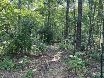 Recreational Property near Wappapello Lake - image 10
