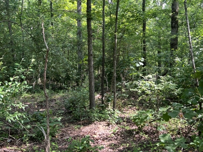 Recreational Property near Wappapello Lake - image 8