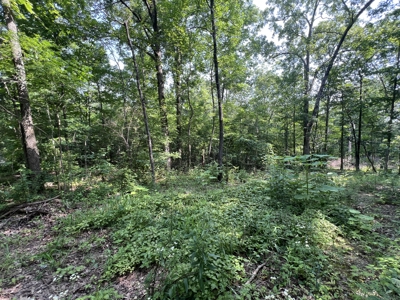 Recreational Property near Wappapello Lake - image 2