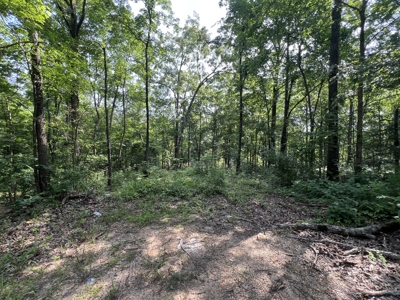 Recreational Property near Wappapello Lake - image 1