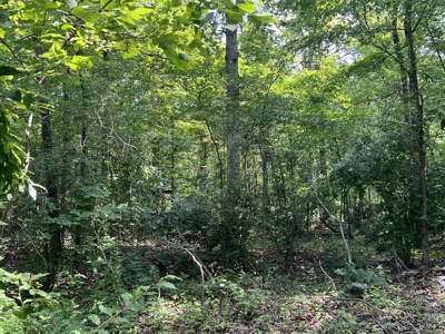 Recreational Property near Wappapello Lake - image 13