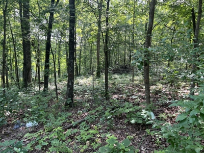 Recreational Property near Wappapello Lake - image 5