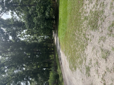 “Live the River Life! 2 Homes on 5 Acres Near Suwannee River!" - image 5