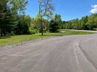 Adirondack Park Acreage For Sale in Herkimer County New York - image 3