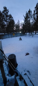 Investment Opportunity in Modoc County - image 23