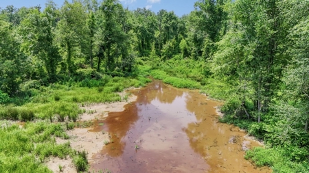 345 Acres with Camp, Creek bordering National Forest in SWMS - image 29