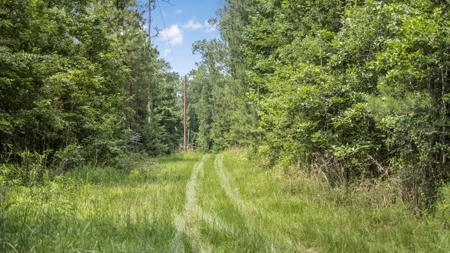 345 Acres with Camp, Creek bordering National Forest in SWMS - image 6