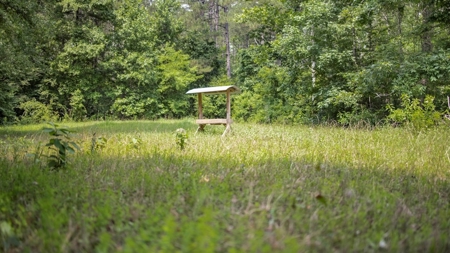 345 Acres with Camp, Creek bordering National Forest in SWMS - image 8