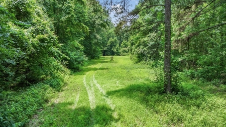 345 Acres with Camp, Creek bordering National Forest in SWMS - image 35