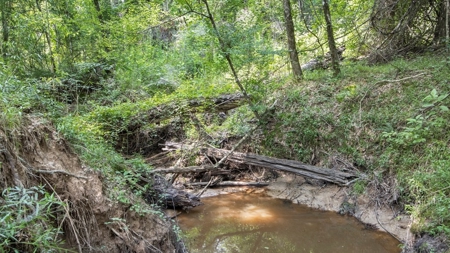 345 Acres with Camp, Creek bordering National Forest in SWMS - image 37