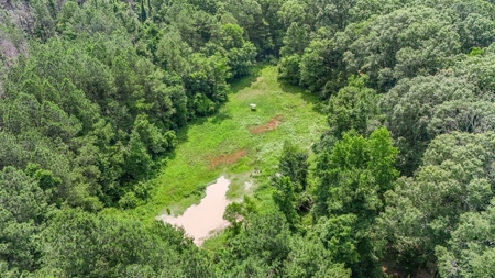345 Acres with Camp, Creek bordering National Forest in SWMS - image 24