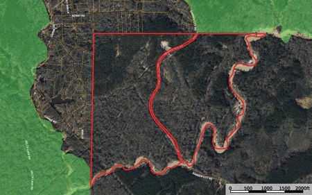 345 Acres with Camp, Creek bordering National Forest in SWMS - image 42