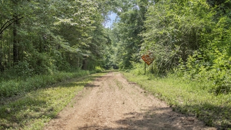 345 Acres with Camp, Creek bordering National Forest in SWMS - image 11