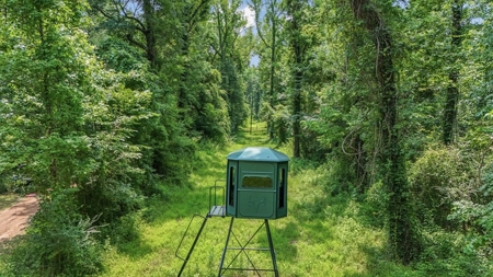 345 Acres with Camp, Creek bordering National Forest in SWMS - image 30