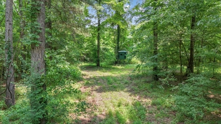 345 Acres with Camp, Creek bordering National Forest in SWMS - image 34