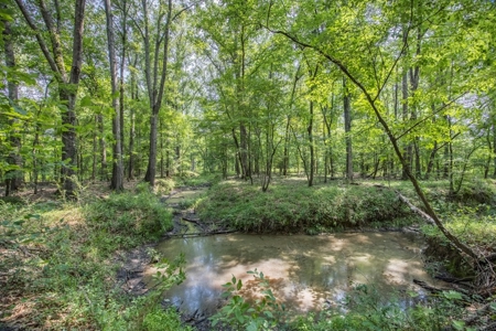345 Acres with Camp, Creek bordering National Forest in SWMS - image 38