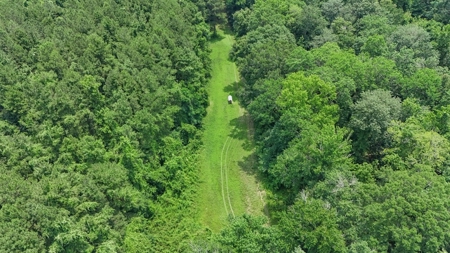 345 Acres with Camp, Creek bordering National Forest in SWMS - image 33