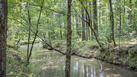 345 Acres with Camp, Creek bordering National Forest in SWMS - image 40