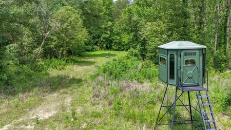 345 Acres with Camp, Creek bordering National Forest in SWMS - image 27