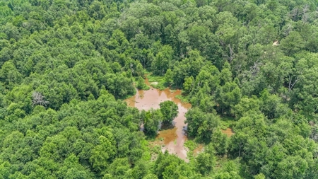 345 Acres with Camp, Creek bordering National Forest in SWMS - image 36
