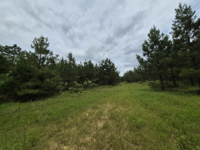 Recreational/Whitetail and hunting property with income producing - image 21