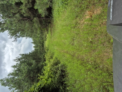 Recreational/Whitetail and hunting property with income producing - image 5