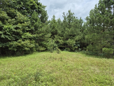 Recreational/Whitetail and hunting property with income producing - image 17