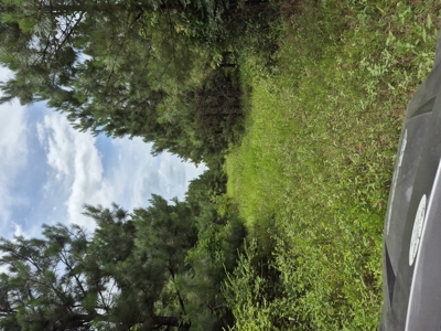 Recreational/Whitetail and hunting property with income producing - image 19