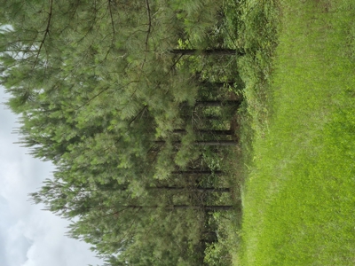Recreational/Whitetail and hunting property with income producing - image 7