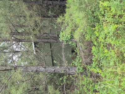 Recreational/Whitetail and hunting property with income producing - image 6