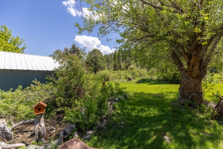 Eastern Oregon Bates Homestead - image 18