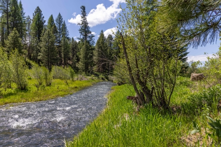 Eastern Oregon Bates Homestead - image 8