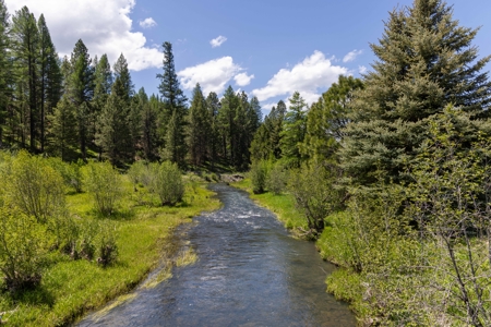 Eastern Oregon Bates Homestead - image 5