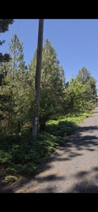 Land for Sale in Viola, Id. 7 miles from Moscow, Idaho - image 10