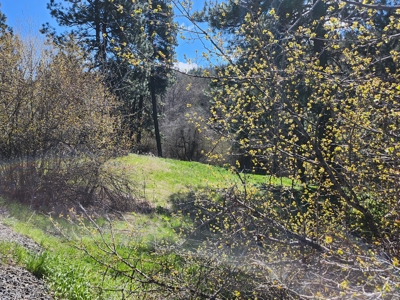 Land for Sale in Viola, Id. 7 miles from Moscow, Idaho - image 1