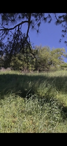 Land for Sale in Viola, Id. 7 miles from Moscow, Idaho - image 4