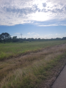 Farm, Recreational, or Pasture Land For Sale Deport TX, NE TX - image 27
