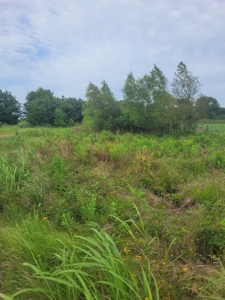 Farm, Recreational, or Pasture Land For Sale Deport TX, NE TX - image 15