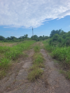 Farm, Recreational, or Pasture Land For Sale Deport TX, NE TX - image 19