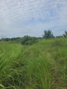 Farm, Recreational, or Pasture Land For Sale Deport TX, NE TX - image 24