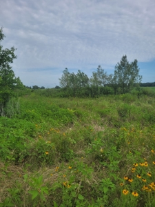 Farm, Recreational, or Pasture Land For Sale Deport TX, NE TX - image 6
