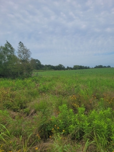 Farm, Recreational, or Pasture Land For Sale Deport TX, NE TX - image 11