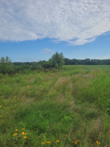 Farm, Recreational, or Pasture Land For Sale Deport TX, NE TX - image 3