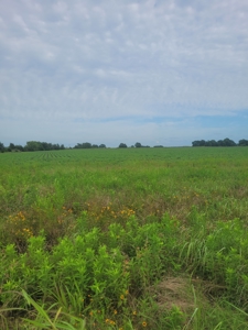 Farm, Recreational, or Pasture Land For Sale Deport TX, NE TX - image 12