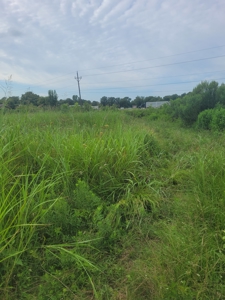 Farm, Recreational, or Pasture Land For Sale Deport TX, NE TX - image 25