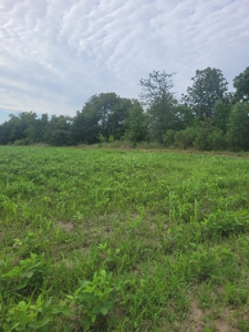 Farm, Recreational, or Pasture Land For Sale Deport TX, NE TX - image 10