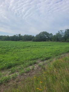 Farm, Recreational, or Pasture Land For Sale Deport TX, NE TX - image 17