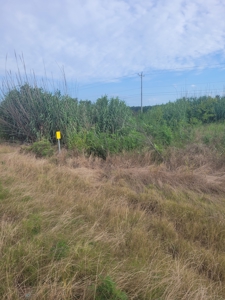 Farm, Recreational, or Pasture Land For Sale Deport TX, NE TX - image 18