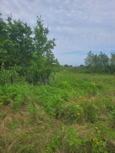 Farm, Recreational, or Pasture Land For Sale Deport TX, NE TX - image 7