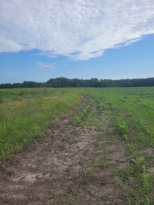 Farm, Recreational, or Pasture Land For Sale Deport TX, NE TX - image 8